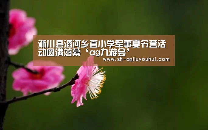 淅川县滔河乡直小学军事夏令营活动圆满落幕‘ag九游会’(图2) ag九游会