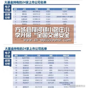 方城县柳河镇小包庄小学开展“全国交通安全日”主题教育活动|ag九游会(图1) ag九游会